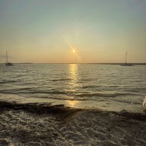 Meet your Posher, Silvia